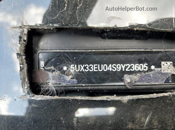 5UX33EU04S9Y23605 2025 BMW X5 Green 