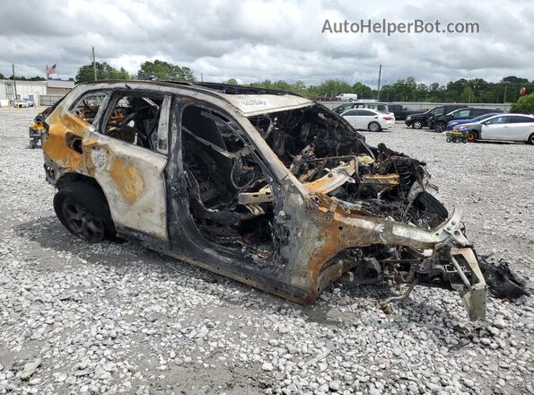 5UXTY3C05M9G26133 2021 BMW X3 Burn Delantero derecho