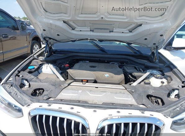 5UXTY3C09L9B29925 2020 BMW X3 Белый Вид сзади