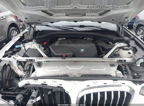 5UXTY5C07L9C08036 2020 BMW X3 White Вид ззаду