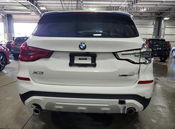 5UXTY5C07L9D28242 2020 BMW X3 Белый Вид сзади