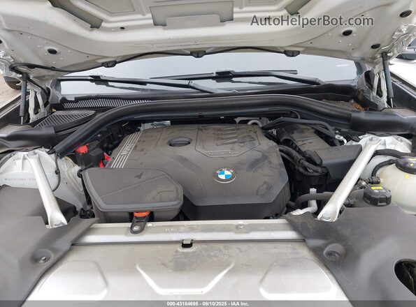 5UXTY5C08M9E71248 2021 BMW X3 White Rear view