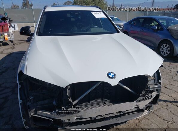 5UXTY9C06L9B57541 2020 BMW X3 Белый Вид задней части салона