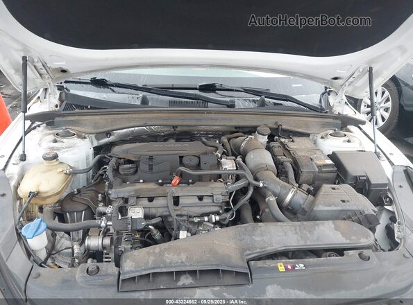 5XXG64J20NG090616 2022 KIA K5 White Հետևի տեսք