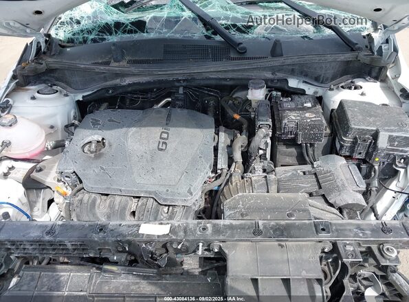5XYK6CDF8SG251871 2025 KIA SPORTAGE Белый Вид сзади