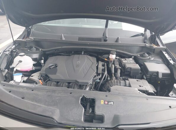 5XYK6CDFXRG215092 2024 KIA SPORTAGE  უკანა ხედი