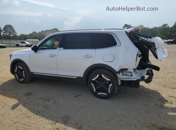 5XYP34GC2RG492017 2024 KIA TELLURIDE White 