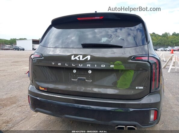 5XYP3DGC3RG529530 2024 KIA TELLURIDE Brown 