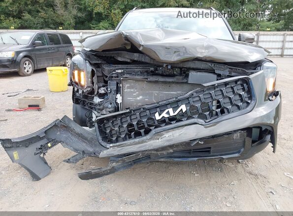 5XYP3DGC3RG529530 2024 KIA TELLURIDE Brown 