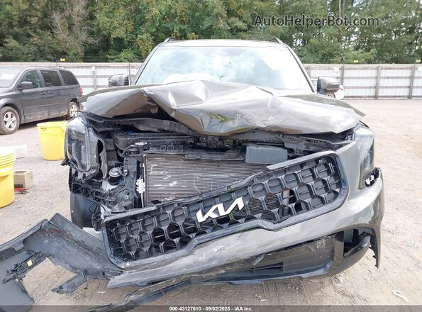5XYP3DGC3RG529530 2024 KIA TELLURIDE Brown 