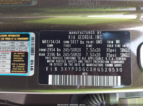 5XYP3DGC3RG529530 2024 KIA TELLURIDE Brown 