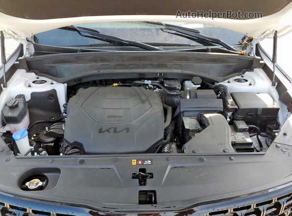 5XYP5DGC2SG640067 2025 KIA TELLURIDE White 