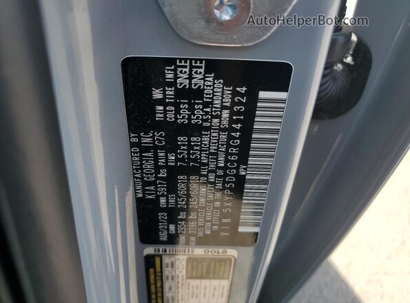 5XYP5DGC6RG441324 2024 KIA TELLURIDE Серый 
