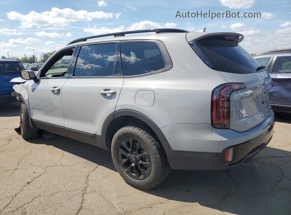 5XYP5DGC6RG441324 2024 KIA TELLURIDE Серый 