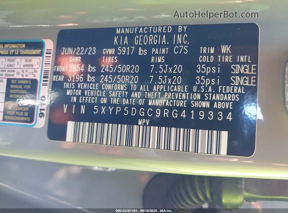 5XYP5DGC9RG419334 2024 KIA TELLURIDE Gray Vista del compartimento del motor