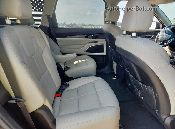 5XYP5DHC2MG124700 2021 KIA TELLURIDE Черный Вид задней части салона