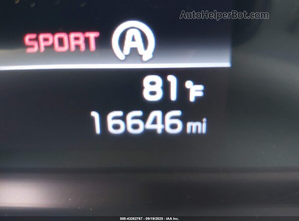 5XYP6DGC9PG397409 2023 KIA TELLURIDE Gray 