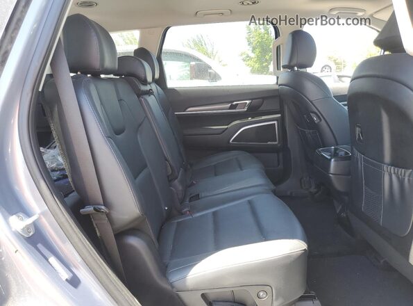5XYP6DHC1LG017679 2020 KIA TELLURIDE Gray Vista interior trasera