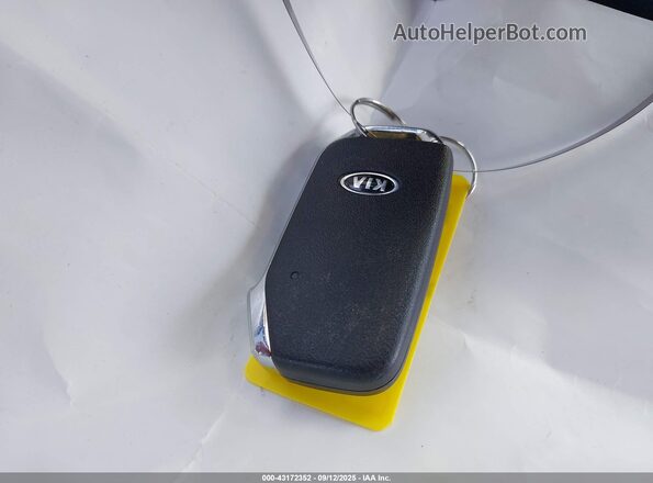 5XYP6DHC8LG090080 2020 KIA TELLURIDE Gray Vista del salpicadero