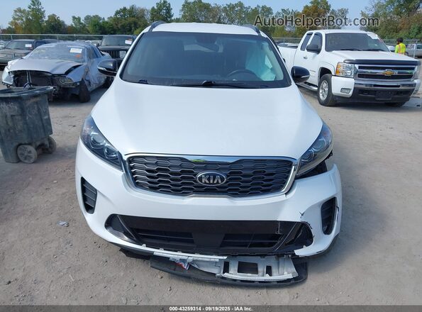 5XYPG4A57LG693207 2020 KIA SORENTO Белый Вид щитка приборов