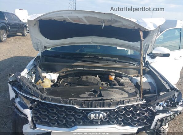 5XYRG4LC2MG029516 2021 KIA SORENTO Белый Вид сзади