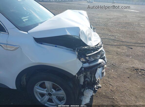 5XYRG4LC2MG029516 2021 KIA SORENTO Белый 
