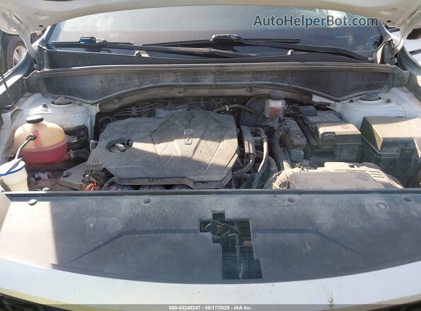5XYRL4LC3MG019752 2021 KIA SORENTO White Widok z tyłu