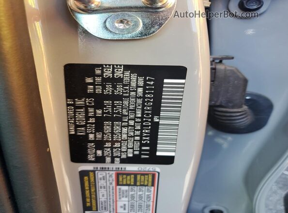 5XYRLDJCXRG281147 2024 KIA SORENTO Gray 