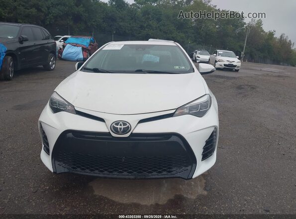 5YFBURHE0KP919345 2019 TOYOTA LL Белый Вид задней части салона