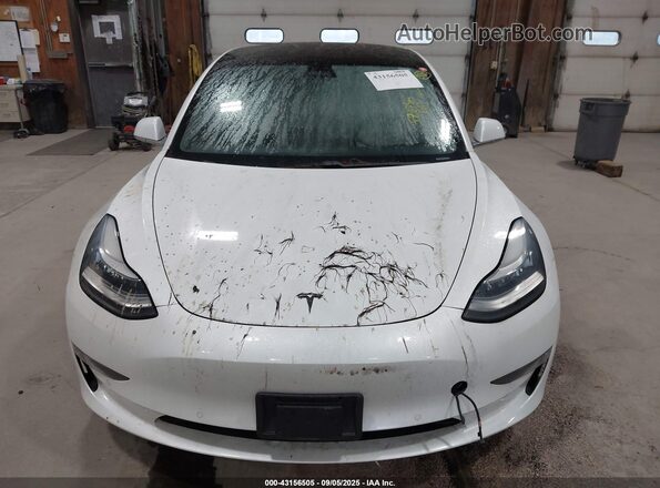 5YJ3E1EB4LF513756 2020 TESLA MODEL 3 Белый Вид щитка приборов