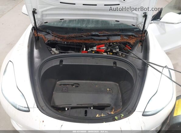 5YJ3E1EB4LF513756 2020 TESLA MODEL 3 Белый Вид сзади