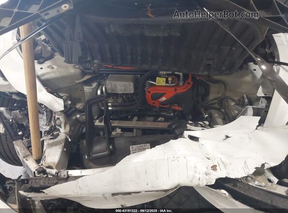 5YJ3E1EBXPF456985 2023 TESLA MODEL 3 White Հետևի տեսք