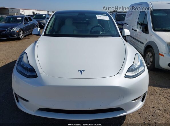 5YJYGAEE0MF259460 2021 TESLA MODEL Y White 