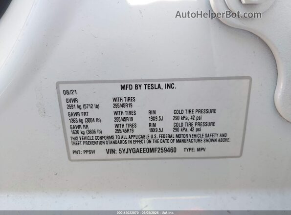 5YJYGAEE0MF259460 2021 TESLA MODEL Y White 