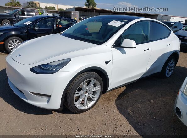5YJYGAEE0MF259460 2021 TESLA MODEL Y White 
