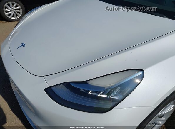 5YJYGAEE0MF259460 2021 TESLA MODEL Y White 