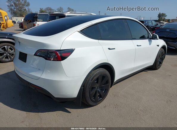 5YJYGDEE1MF299130 2021 TESLA MODEL Y White უკანა მარჯვენა