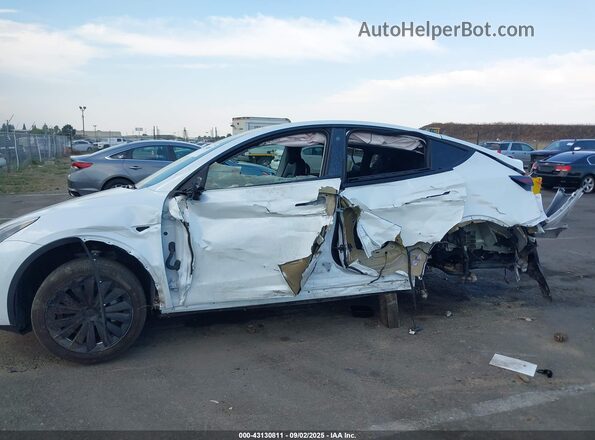 5YJYGDEE2MF199585 2021 TESLA MODEL Y White Вид спереду