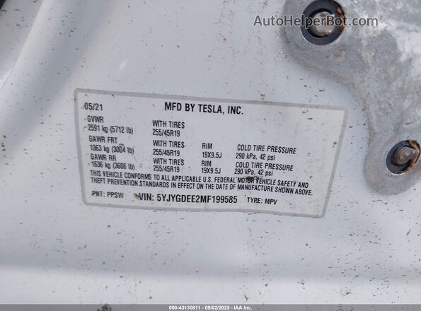 5YJYGDEE2MF199585 2021 TESLA MODEL Y White Вид підкапотного простору