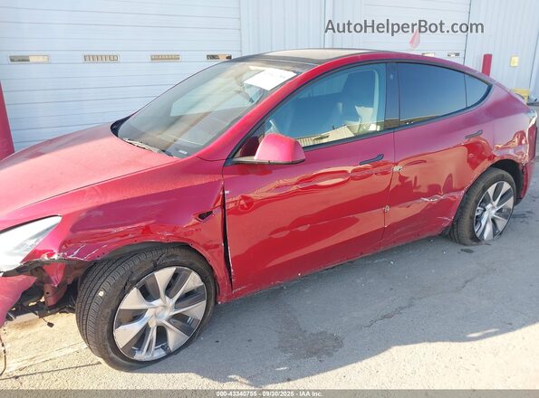 5YJYGDEE2MF251572 2021 TESLA MODEL Y Red 