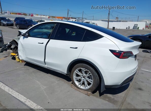 5YJYGDEE2MF270641 2021 TESLA MODEL Y White უკანა მარცხენა