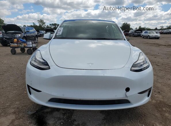 5YJYGDEE3MF148774 2021 TESLA MODEL White Դիմացի տեսք