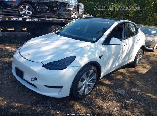 5YJYGDEE3MF295497 2021 TESLA MODEL Y White 