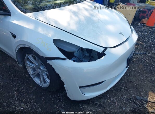 5YJYGDEE3MF295497 2021 TESLA MODEL Y White 