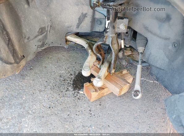 5YJYGDEE3MF303713 2021 TESLA MODEL Y Синий 
