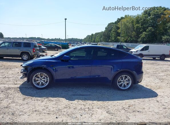 5YJYGDEE5MF176933 2021 TESLA MODEL Y Blue 