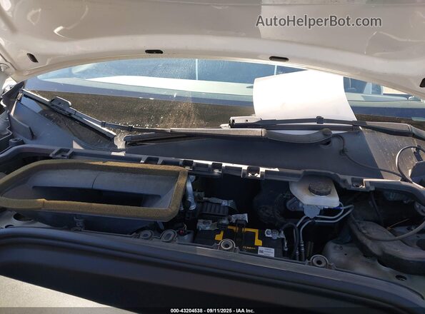 5YJYGDEE5MF214824 2021 TESLA MODEL Y White Հետևի տեսք