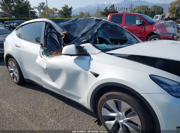 5YJYGDEE6MF229946 2021 TESLA MODEL Y White წინა ხედი