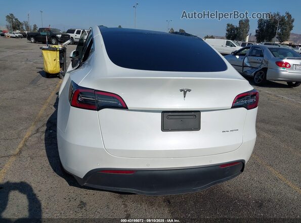 5YJYGDEE6MF229946 2021 TESLA MODEL Y White 