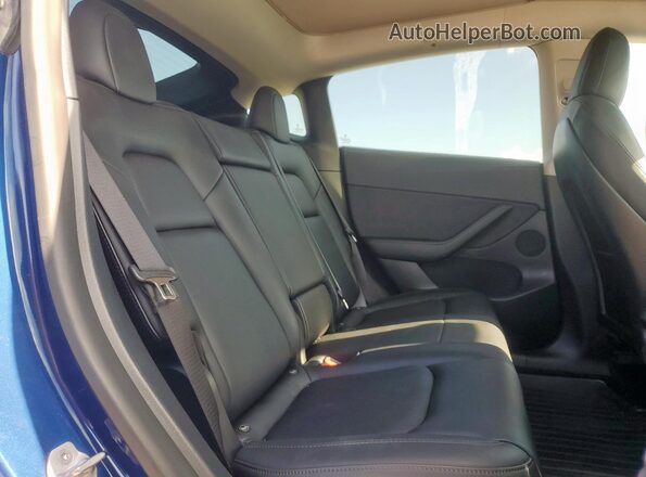 5YJYGDEE8MF200478 2021 TESLA MODEL Blue Հետևի նստատեղերի տեսք
